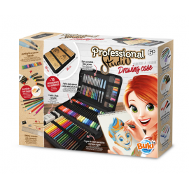 PROFESSIONAL STUDIO -...