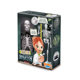 SQUELETTE 45CM
